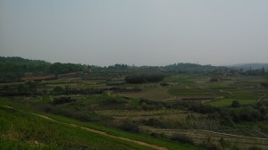 IMG_20140404_133226